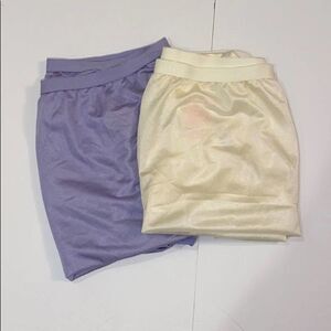 Comfortchoice (2) Brief Panties 13